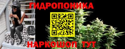 стафф Усть-Илимск